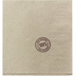 Serviette Papier Eco "Recycled" 33x33cm 1E (100 Utés)