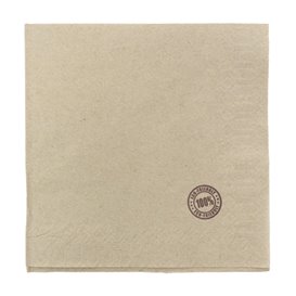Serviette Papier Eco "Recycled" 33x33cm 1E (100 Utés)