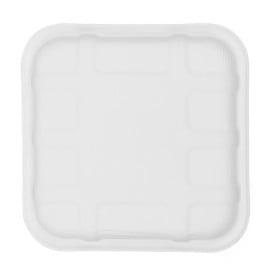 Plateau à Canne à Sucre 14,1x14,1cm (50 Unités)