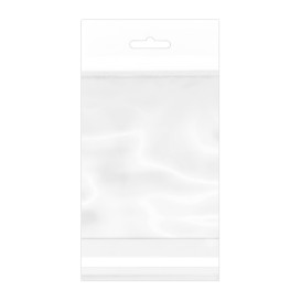 Sac en PP BO Avec Fermeture Adhésive et Trou Européen 10x15cm G160 (1.000 Utés)