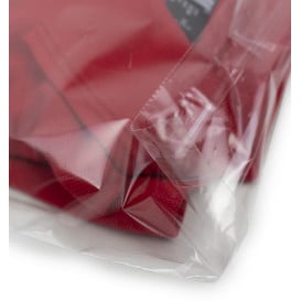 Sac en CPP fermeture adhésive 35x45cm G160 (1000 Utés)