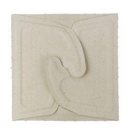 Boîte Canne à Sucre Box to Go 13x13x7cm 500ml. (150 Utés)
