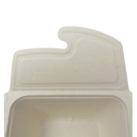 Boîte Canne à Sucre Box to Go 17x13x7cm 750ml. (100 Utés)