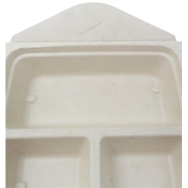 Boîte Canne à Sucre Box to Go 3C 21x21x4cm 900ml (50 Utés)