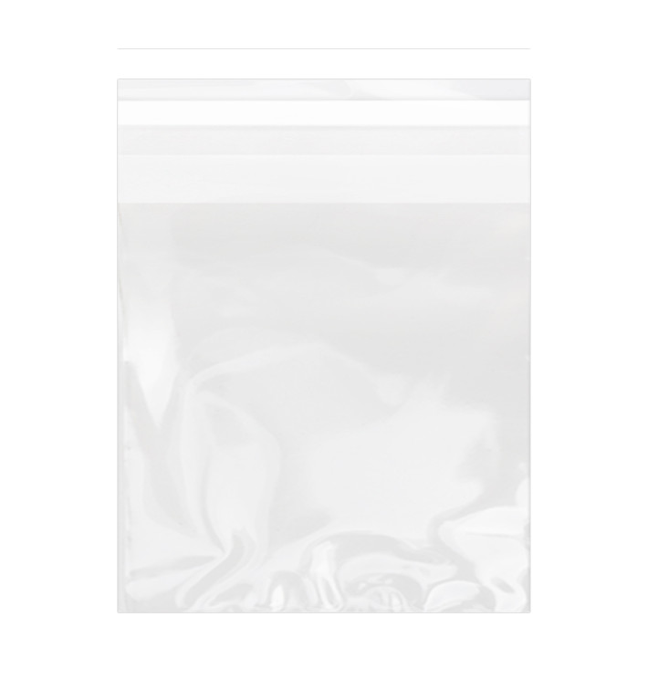 Sac en Polypropylène BO Avec Fermeture Adhésive 14x14cm G160 (100 Utés) Sac en Polypropylène BO Avec Fermeture Adhésive 14x14cm G160 (100 Utés)