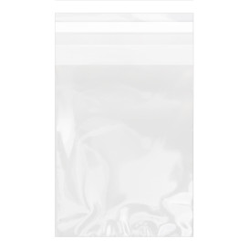 Sac en Polypropylène BO Avec Fermeture Adhésive 15x22cm G160 (100 Utés)