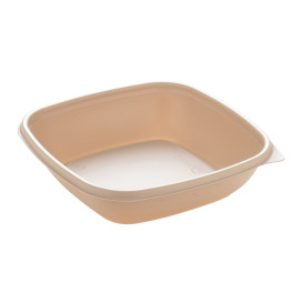 Barquette Plastique PP Crème 500ml 16,5x16,5x4cm (300 Utés)