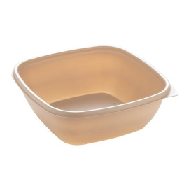 Barquette Plastique PP Crème 750ml 16,5x16,5x6cm (300 Utés)