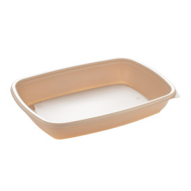 Barquette Plastique PP Crème 600ml 23x16,5cm (300 Utés)