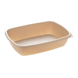 Barquette Plastique PP Crème 900ml 23x16,5cm (300 Utés)