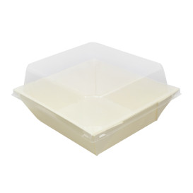 Couvercle en Plastique PET Emballage 480ml 14,3x12,3x3,3cm (12 Utés)