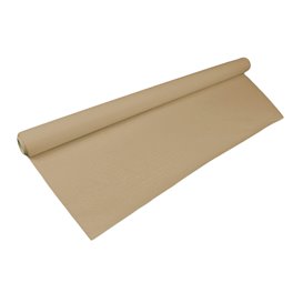 Nappe papier en ROULEAU Eco Kraft 1x100m 40g (1 Uté)