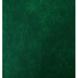 Set de Table en PP Non-Tissé Vert 35x50cm 50g (500 Utés)