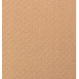 Nappe papier en ROULEAU Saumon 1x100m 40g (6 Unités)