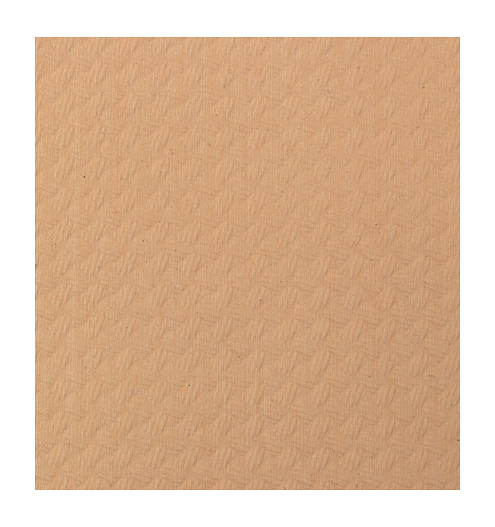 Nappe papier en ROULEAU Saumon 1x100m 40g (1 Unité) Nappe papier en ROULEAU Saumon 1x100m 40g (1 Unité)