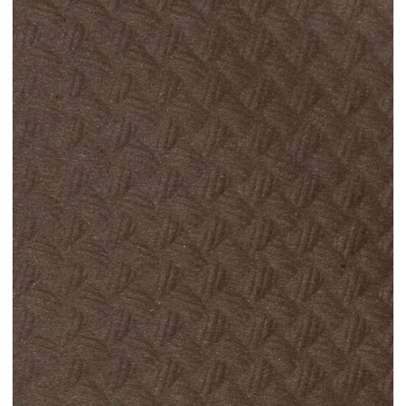 Nappe papier en ROULEAU Marron 1x100m 40g (6 Unités)