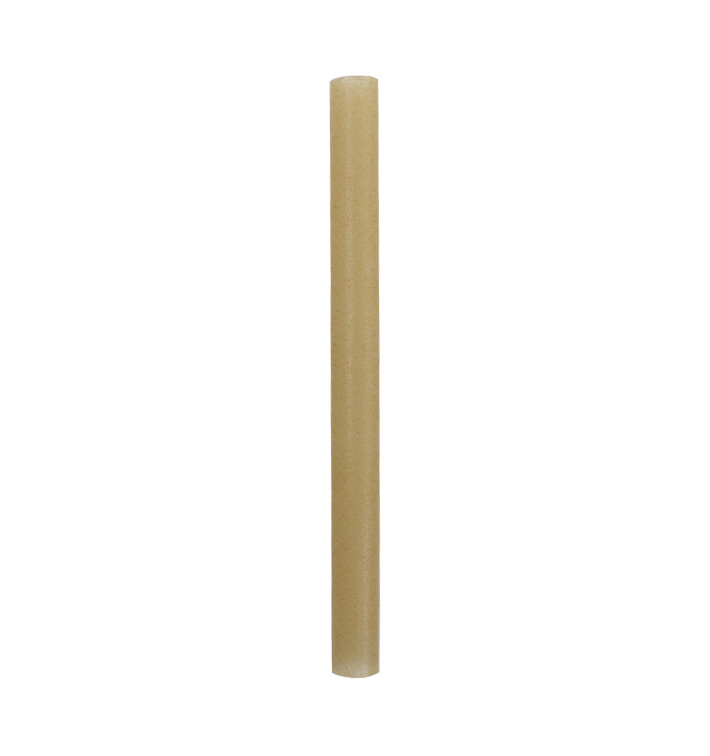 Paille Éco Droite en Canne à Sucre Ø1,2cm 15cm (50 Utés) Paille Éco Droite en Canne à Sucre Ø1,2cm 15cm (50 Utés)
