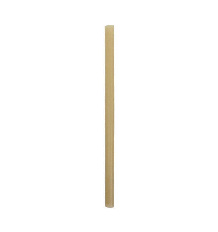 Paille Éco Droite en Canne à Sucre Ø1,2cm 25cm (50 Utés) Paille Éco Droite en Canne à Sucre Ø1,2cm 25cm (50 Utés)