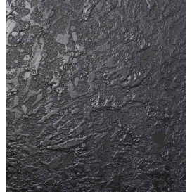 Plateau Ardoise Synthétique Dégustation 30x20cm (10 Utés)