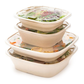 Bol Canne à Sucre Carré Naturel 3500ml 27cm (25 Utés)