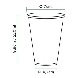 Verre Plastique PP Transparent 220ml (100 Utés)