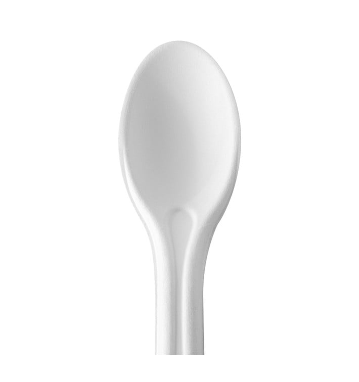 Cuillère en canne à sucre
