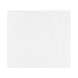Papier Ingraissable Blanc 28x31cm (1000 Unités)