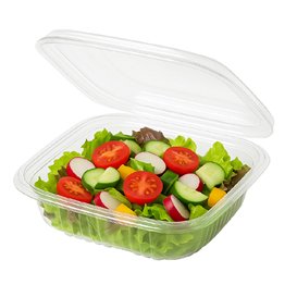 Coque Carrée avec charnière PET 250ml (900 Utés)