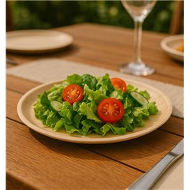 Assiette en Feuilles de Palmier Ø25cm (200 Utés)